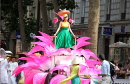 Việt Nam lần đầu tham dự Carnaval Paris